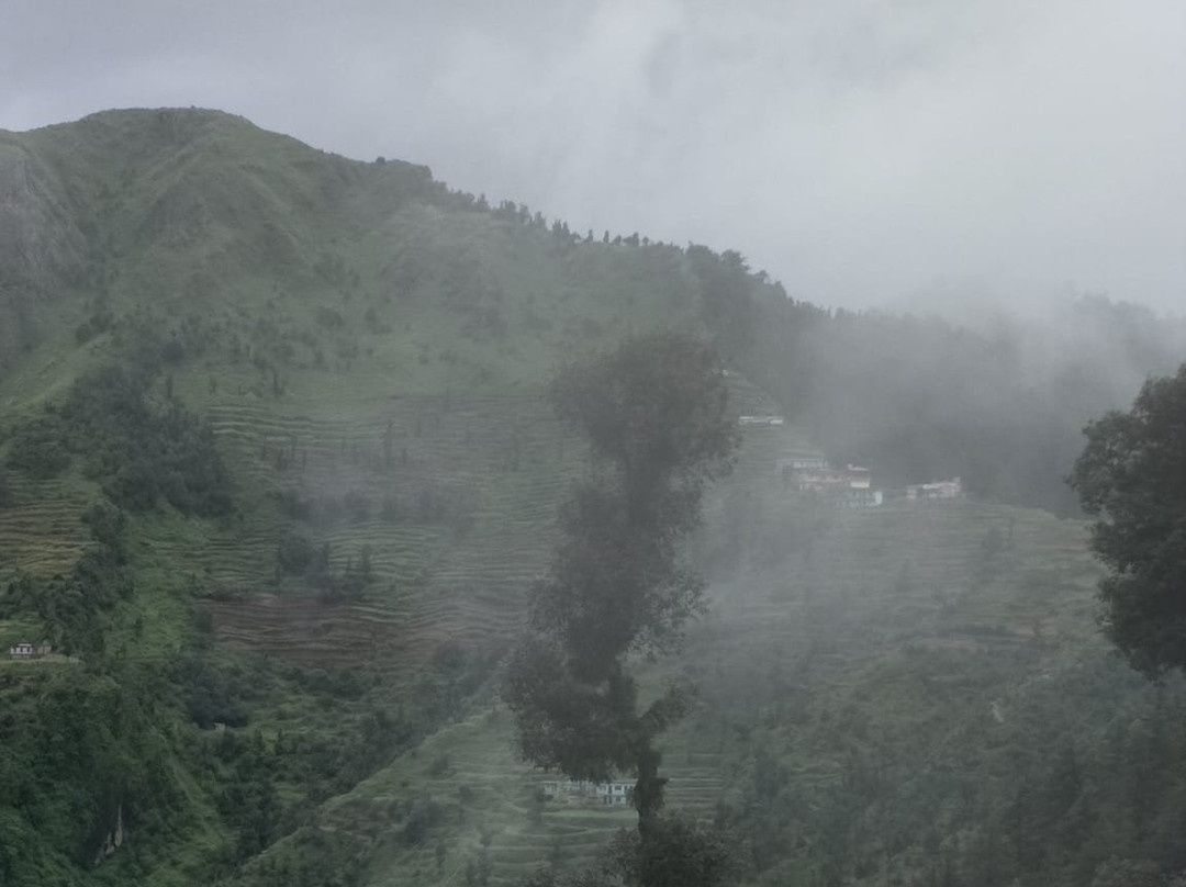 OYO 11877 Royal Residency主图