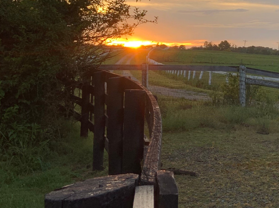 Maple Hill Manor Bed & Breakfast主图