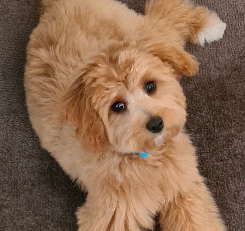 休伊登精品酒店主图