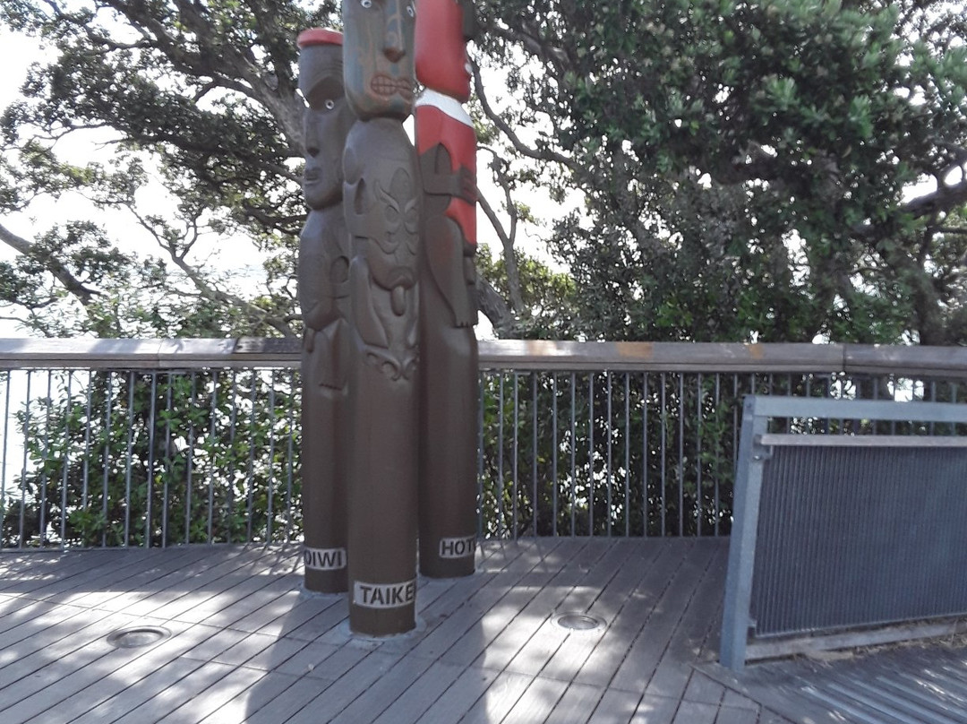 阿基里斯角-奥克兰中心地区必去景点