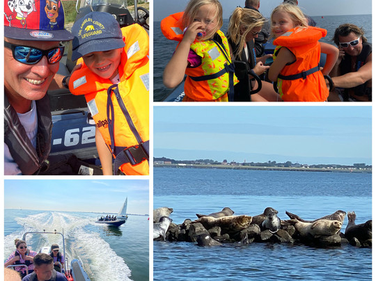 Dolphin Events-鹿特丹必去景点