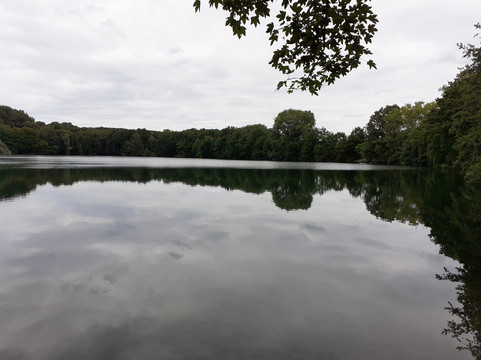 Rensinger See-Kellinghusen必去景点