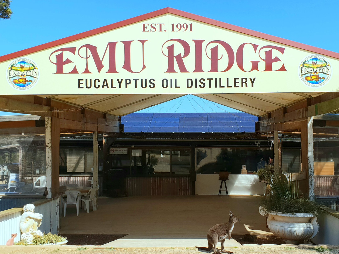 Emu Ridge Eucalyptus景点图片