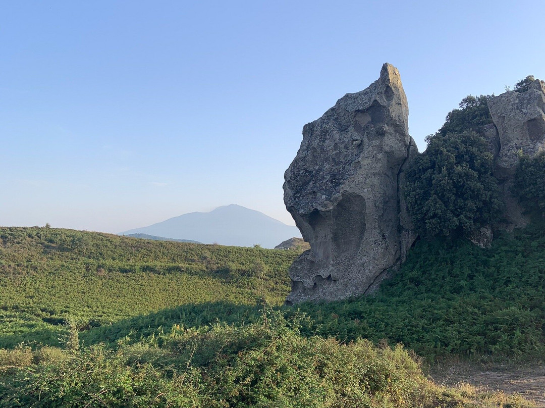 Megaliti dell’Argimusco景点图片