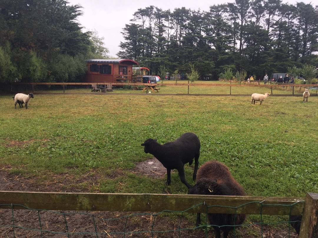 Les chambres de Kerael主图