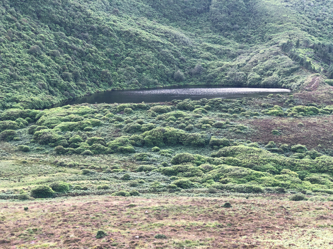 Bay Lough-Clogheen必去景点