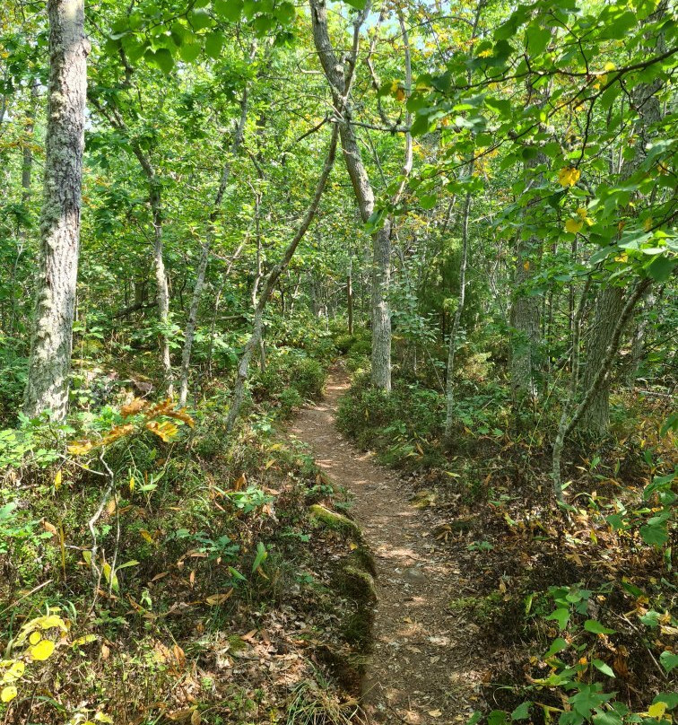 Blå Jungfrun Nationalpark-厄兰岛必去景点