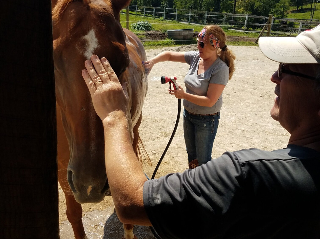 First Farm Inn主图