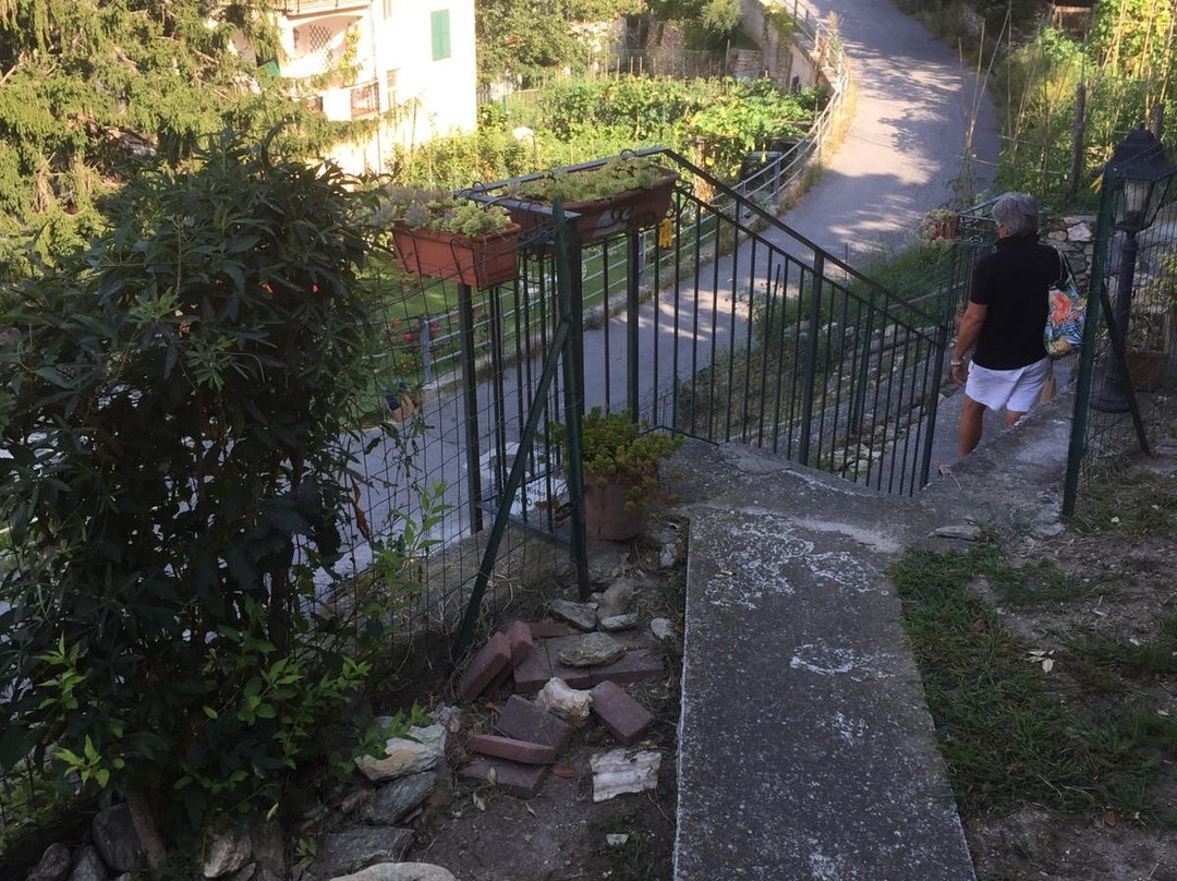 Locanda Borgo Antico主图