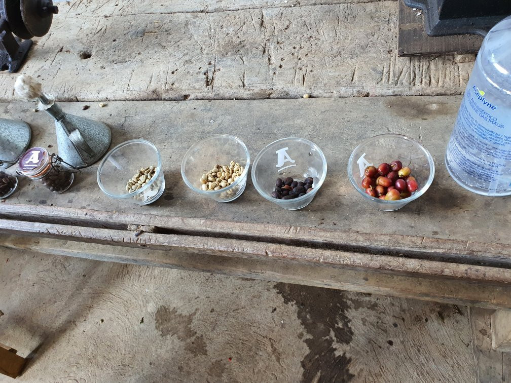 Sitio Sao Roque-Mulungu必去景点