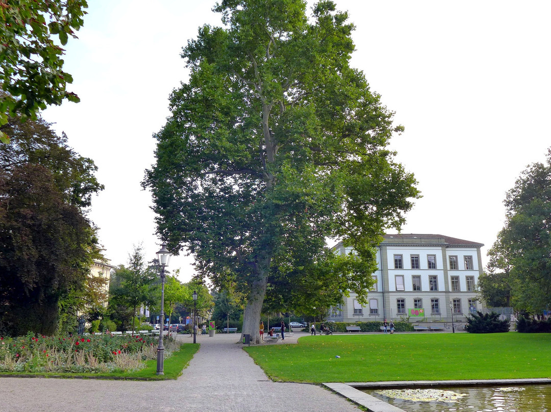 Stadtpark Winterthur景点图片