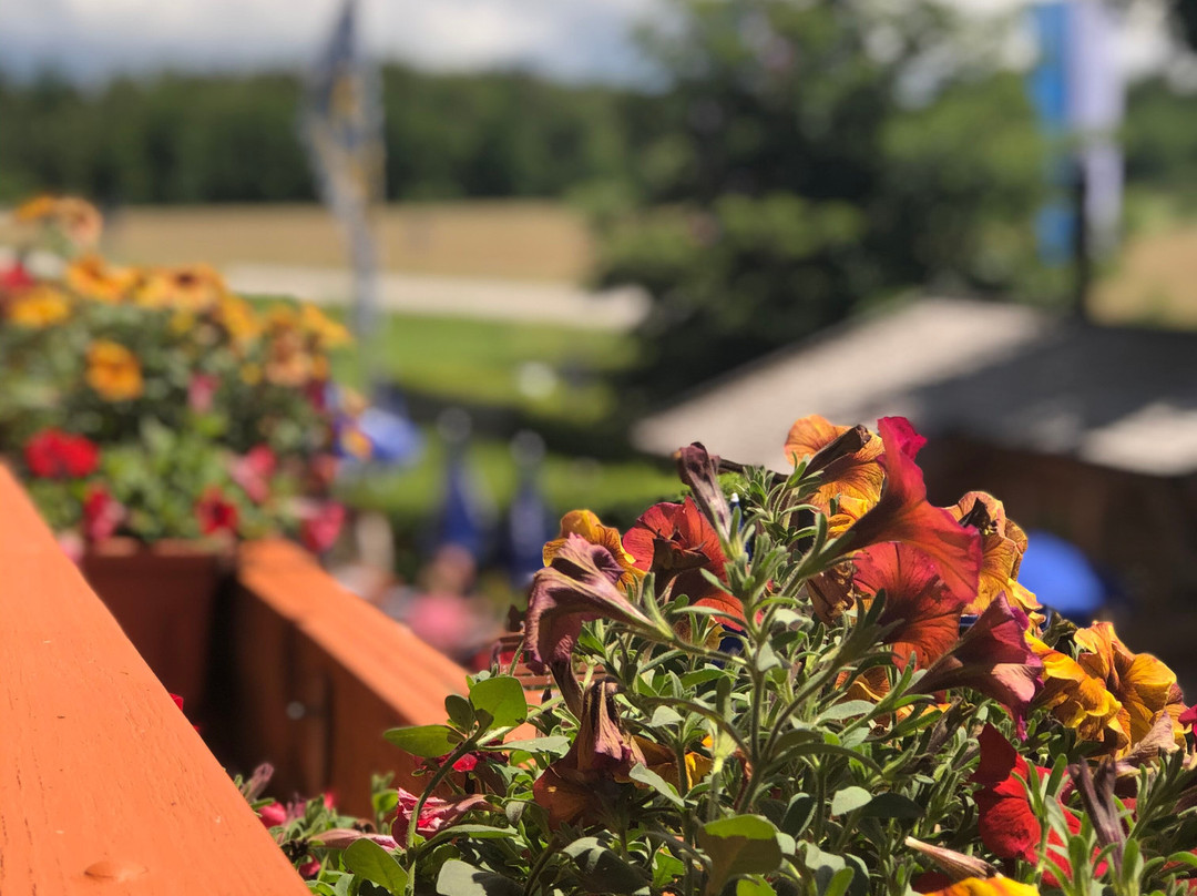 Hotel Landgasthof Schontag主图