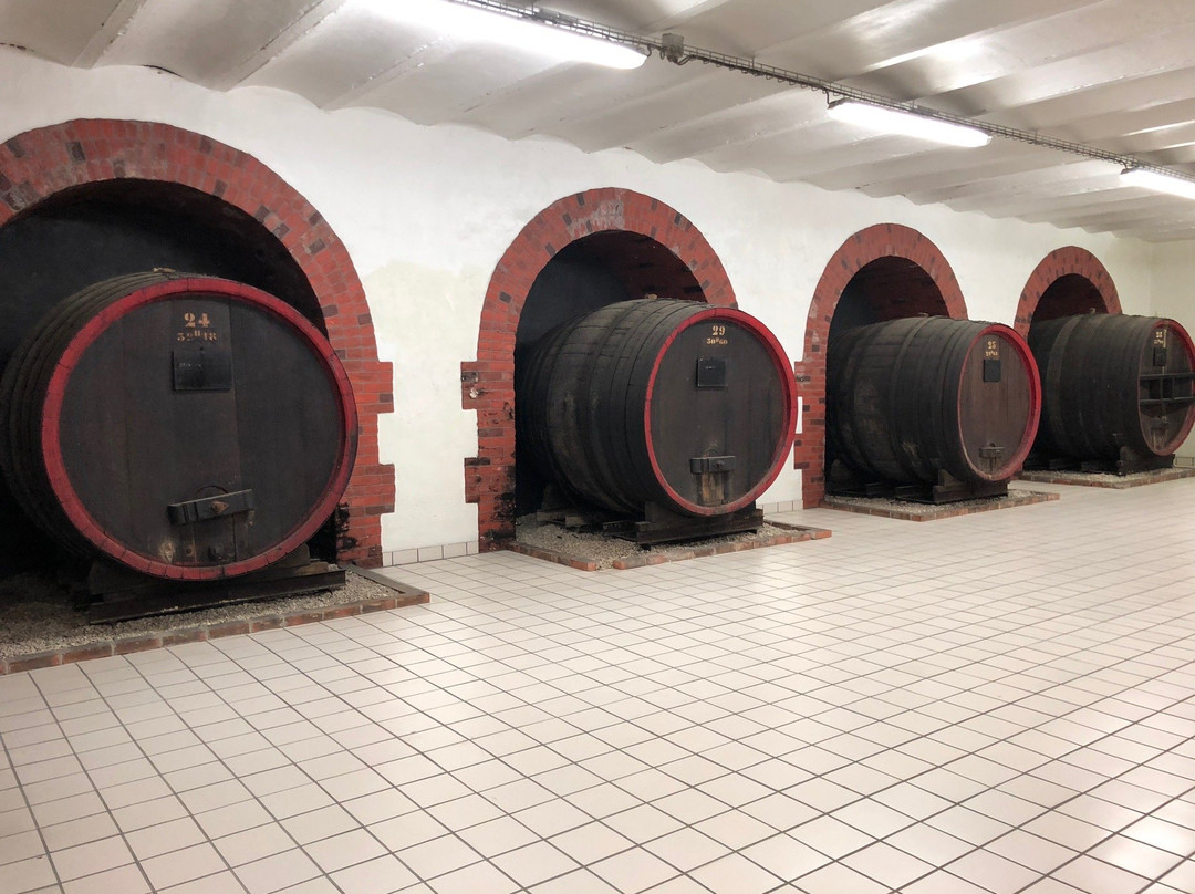 Champagne de Castellane-埃佩尔内必去景点