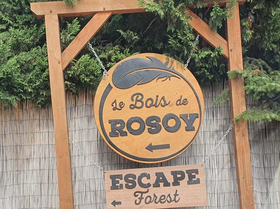 Escape forest景点图片