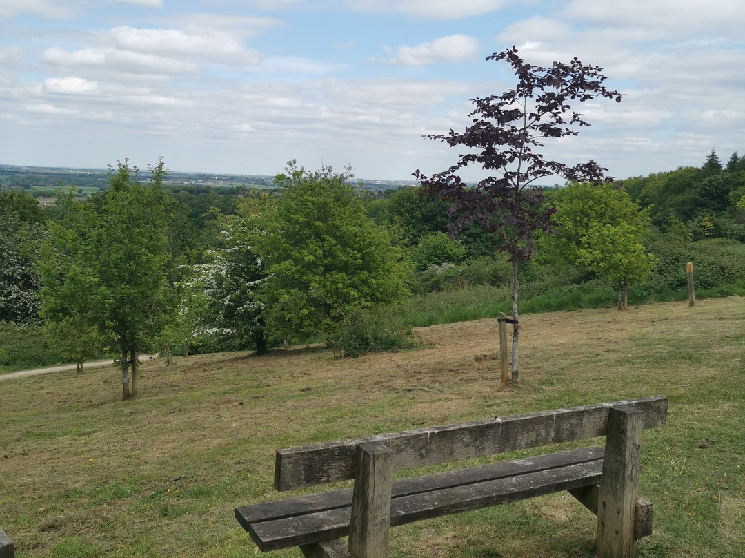 Hartshill Hayes Country Park-纽尼顿必去景点