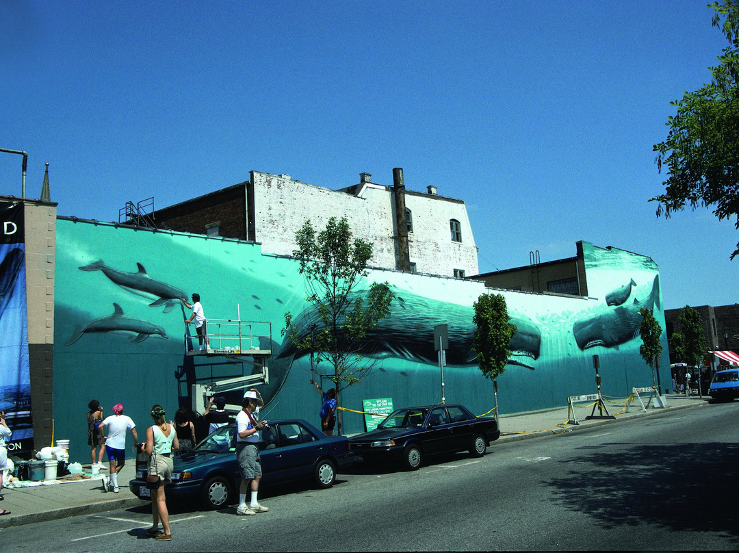Whaling Wall景点图片