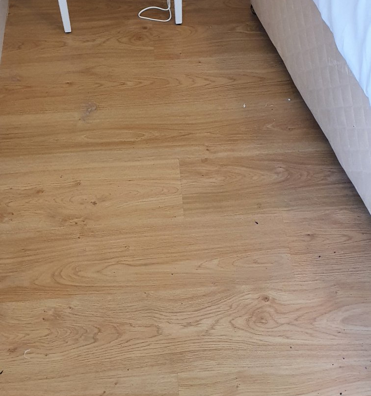 The Wooden House主图