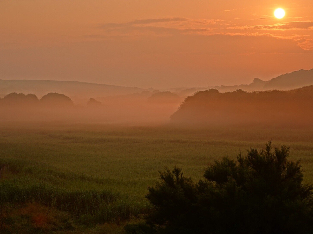 South Milton旅游攻略图片
