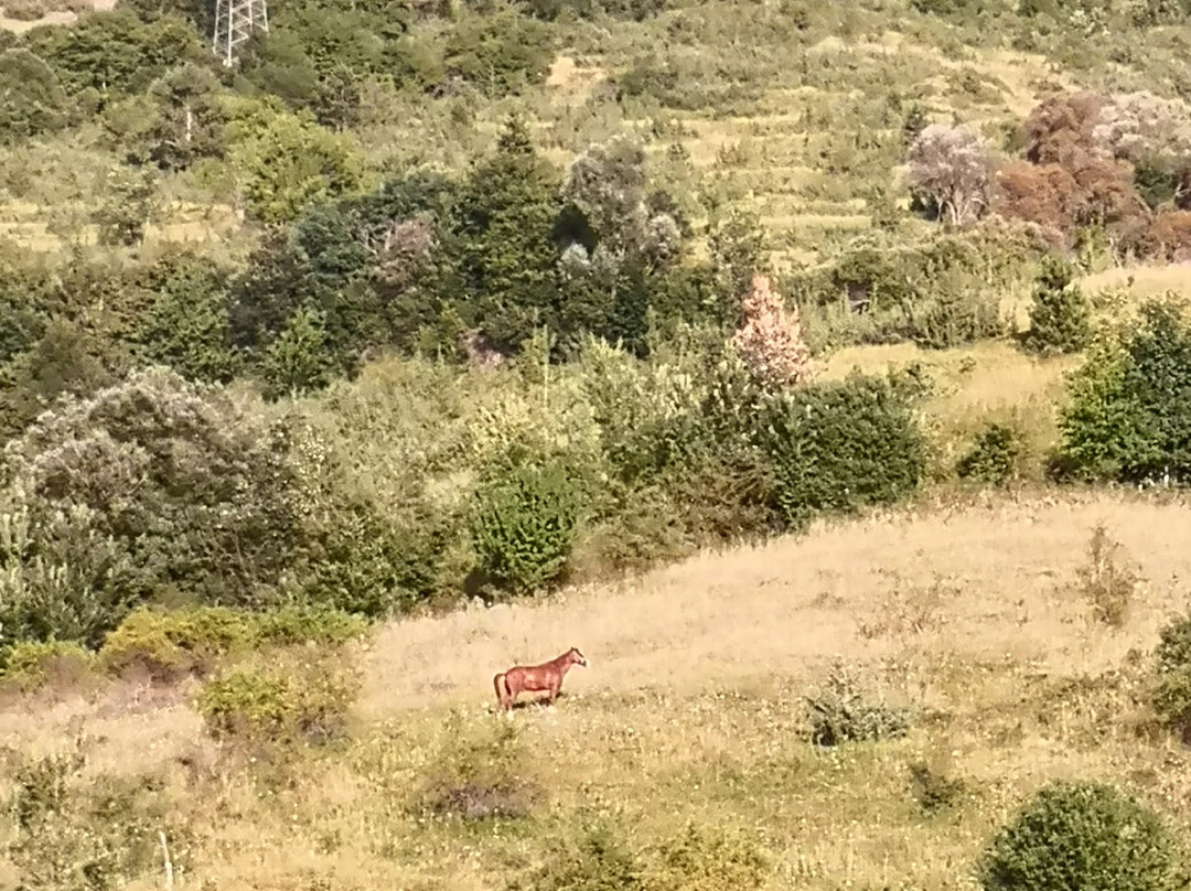 Centro Storico-Rocca Pia必去景点