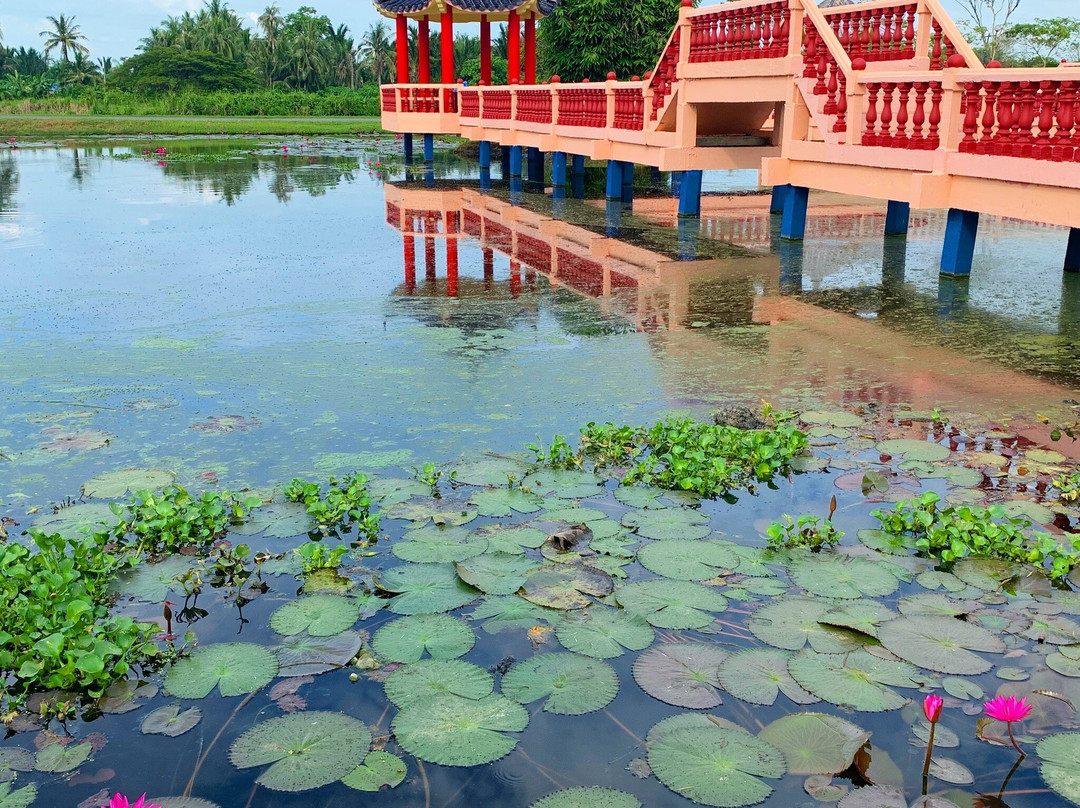 Tasik Melati Recreational Park (Melati Lake)景点图片