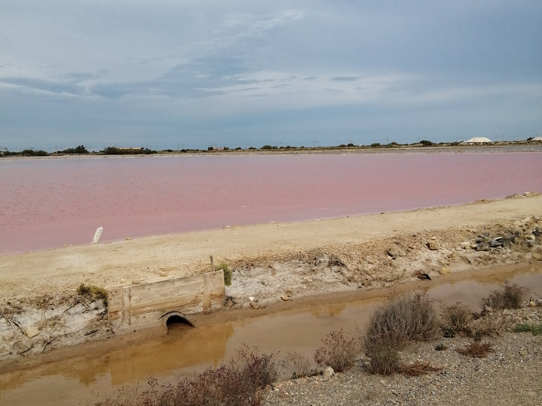 Salin de la Palme-La Palme必去景点