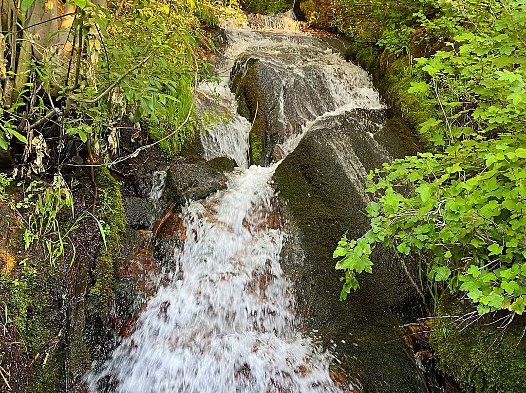Van Sickle Bi-State Park-南太浩湖必去景点