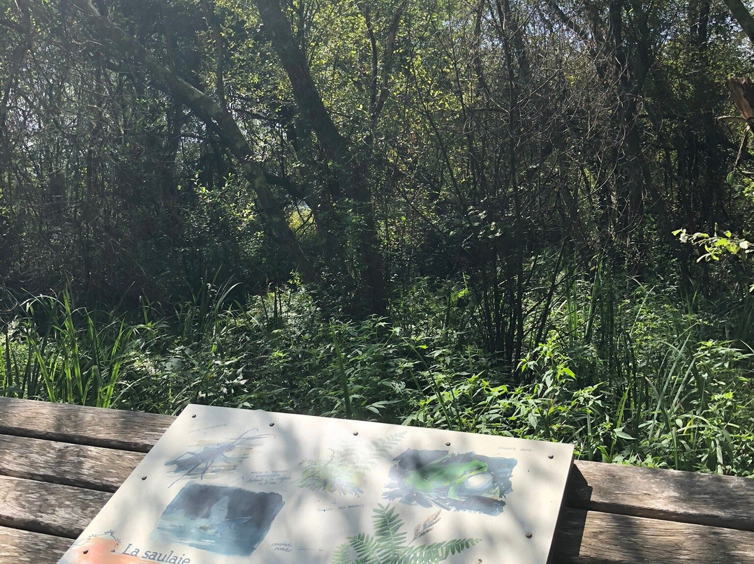 Réserve Naturelle Du Marais D'orx景点图片