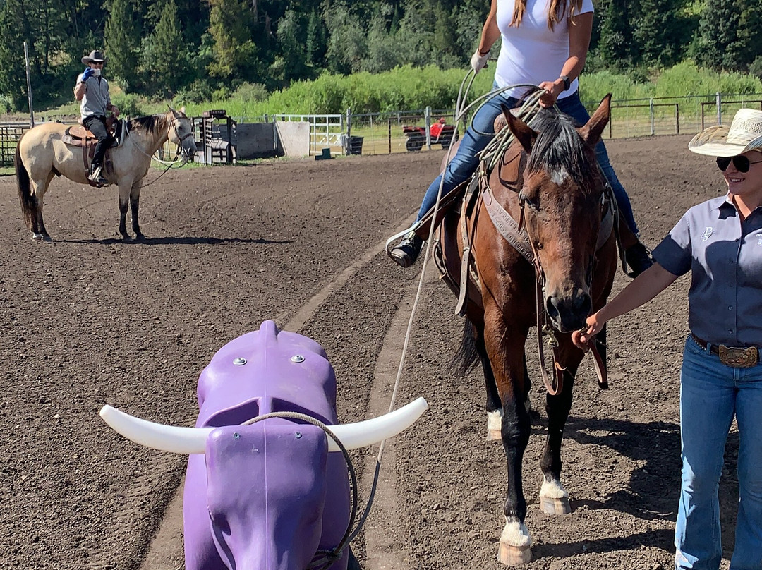 Introduction To Rodeo-威尔逊必去景点