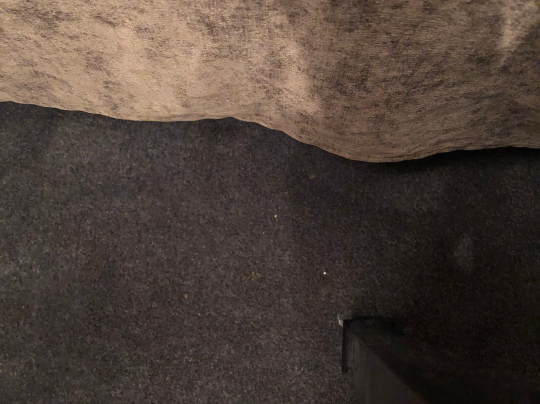 Hotel Le President主图