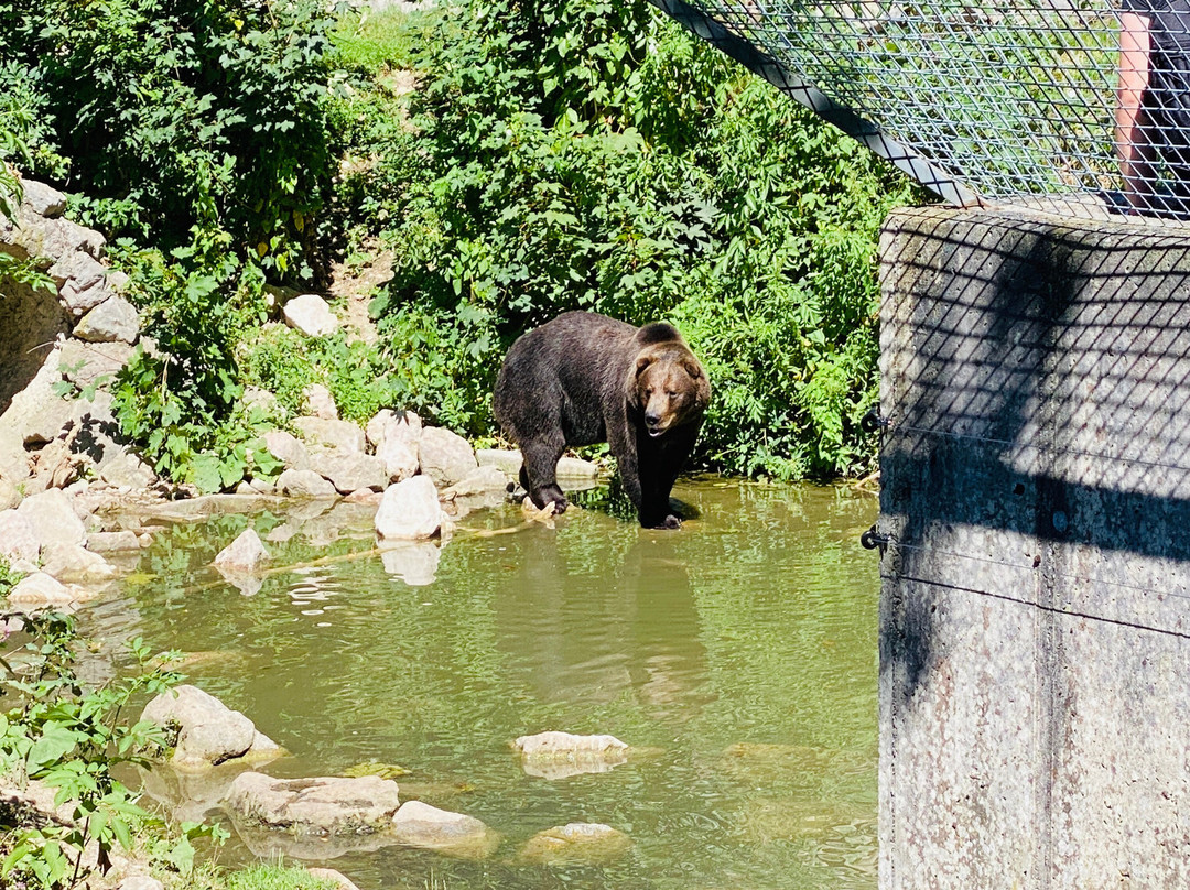 Tierpark Stadt Haag-Haag必去景点