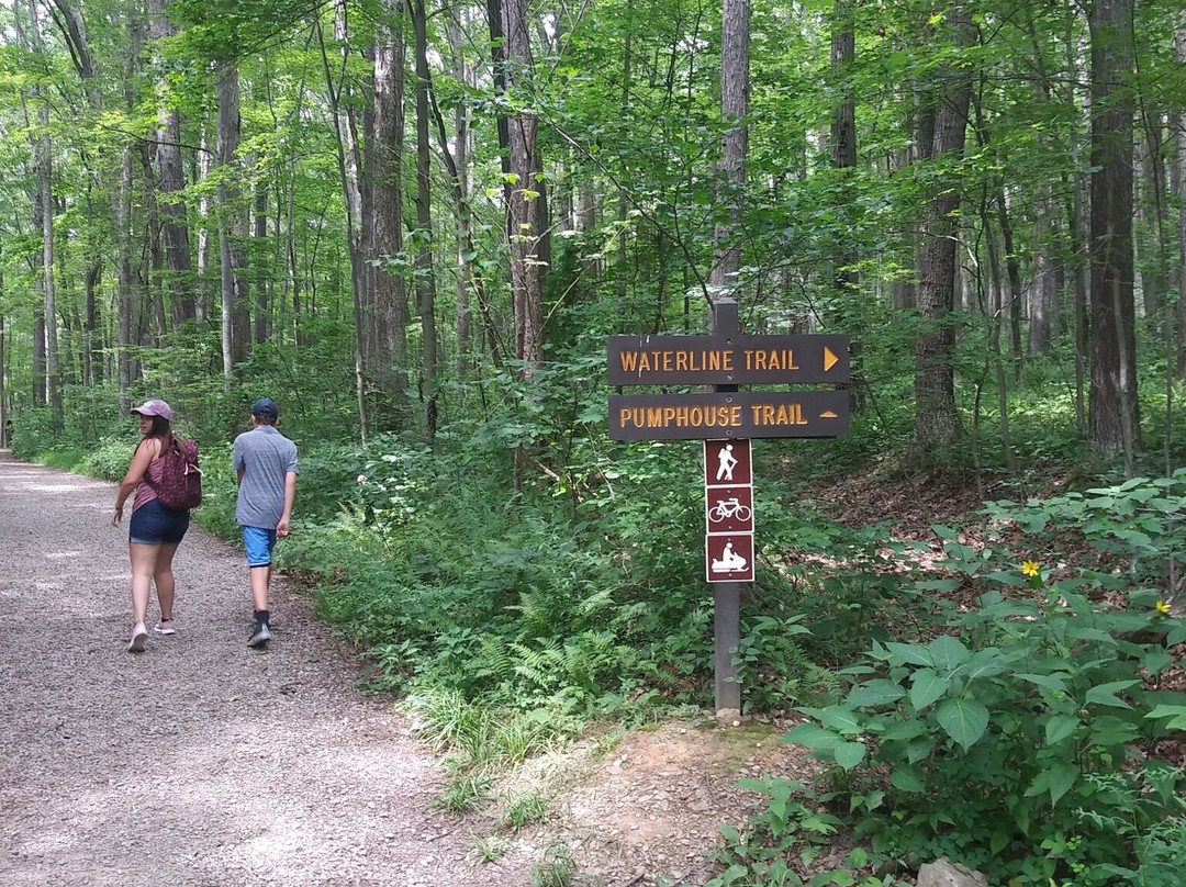 Laurel Hill State Park景点图片