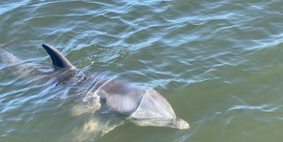 Just Add Water and Sun-那不勒斯必去景点