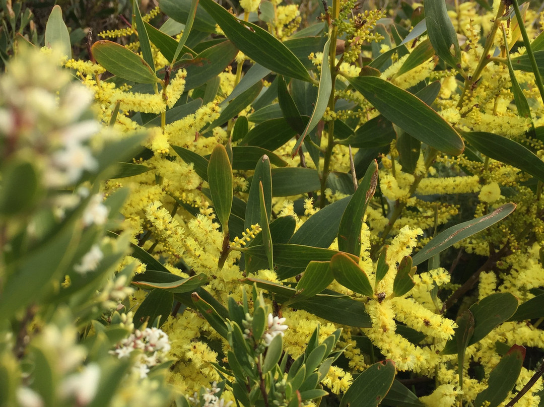 Worm Bay-彼得伯勒必去景点