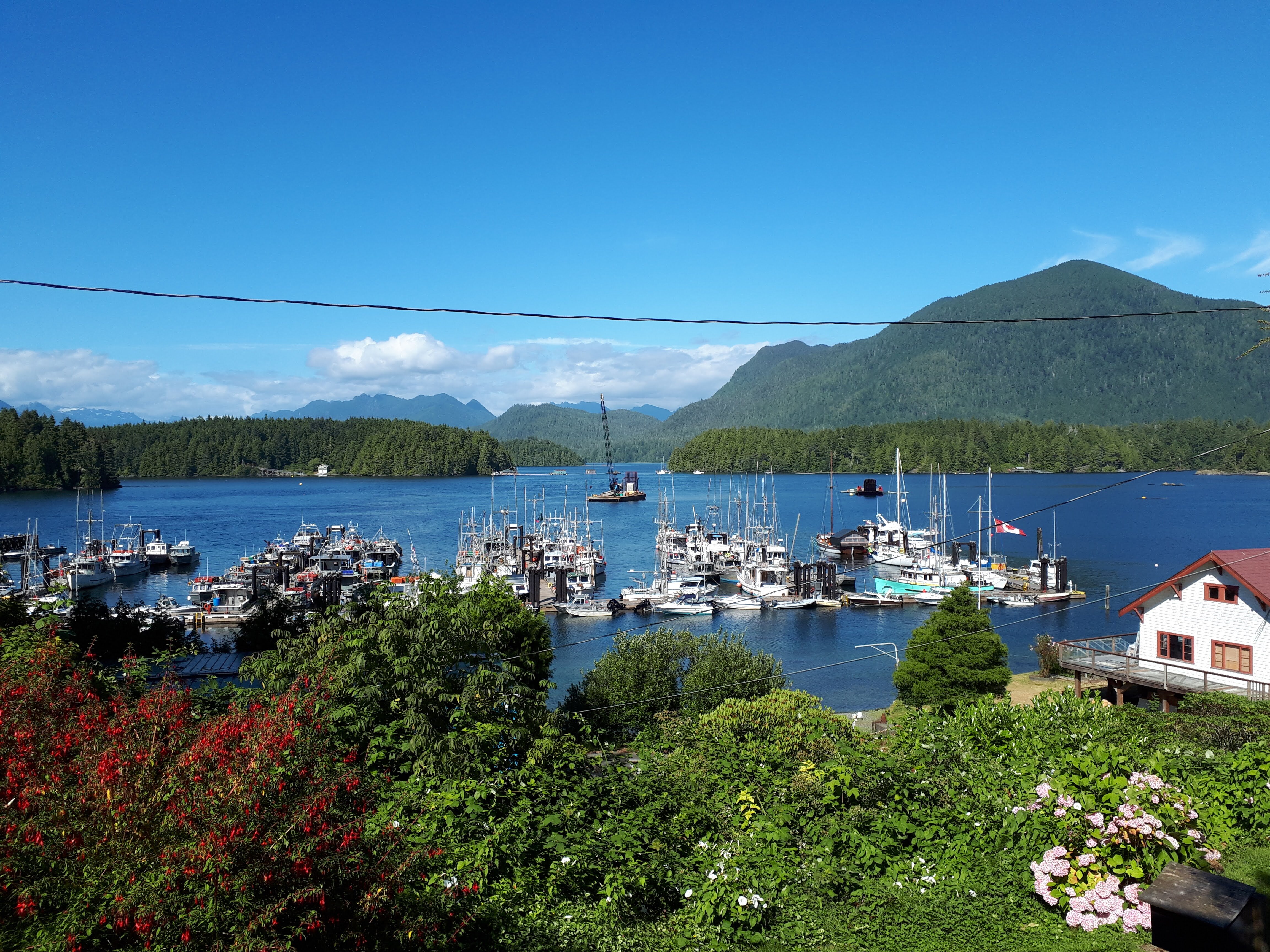 Tofino Motel Harborview Ltd.-酒店景观
