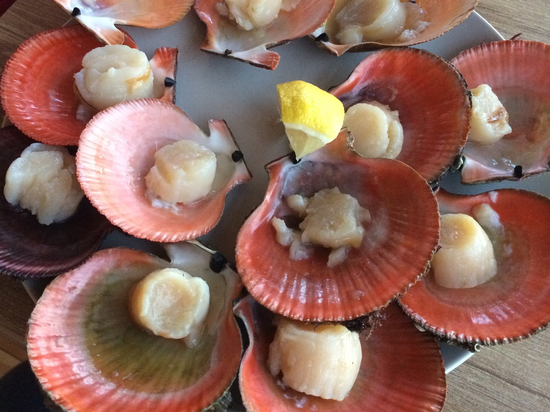 Cedar Grass Teriberka主图