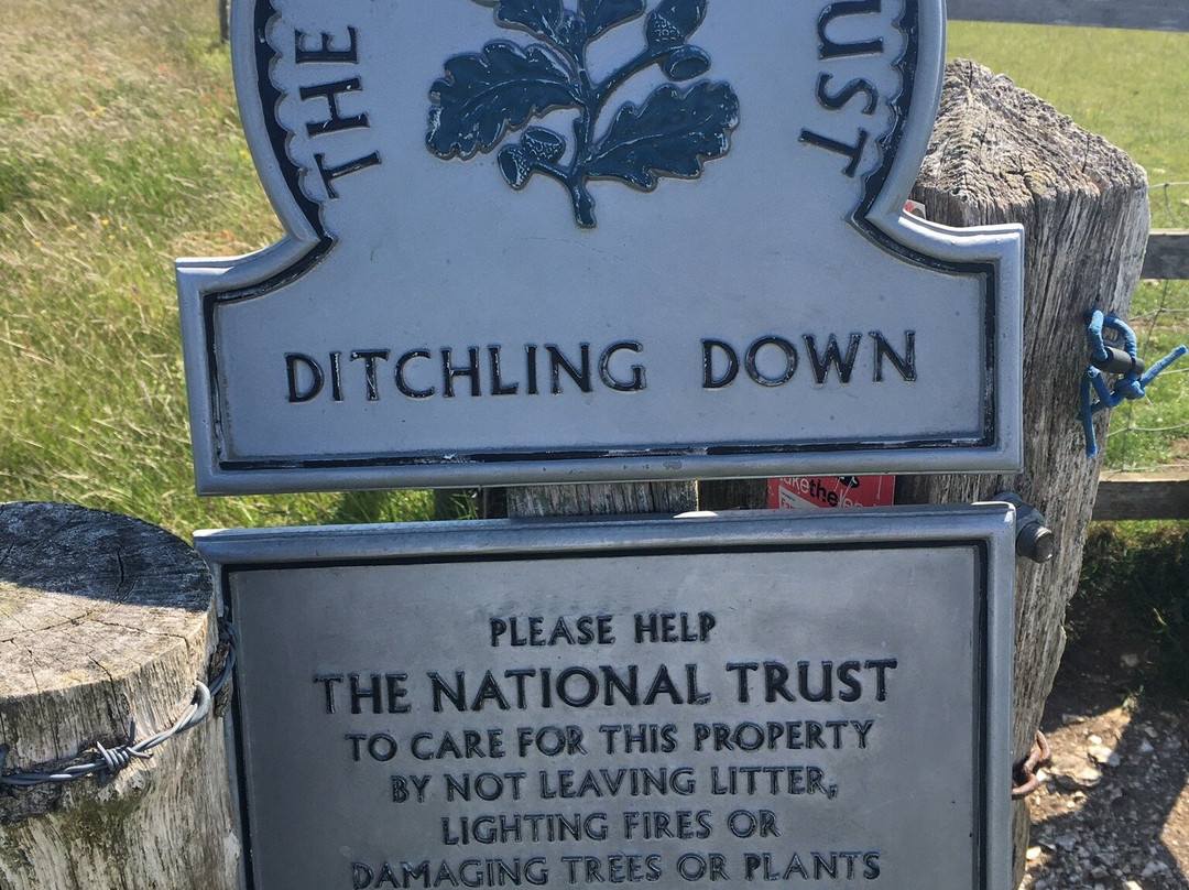 Ditchling Beacon景点图片