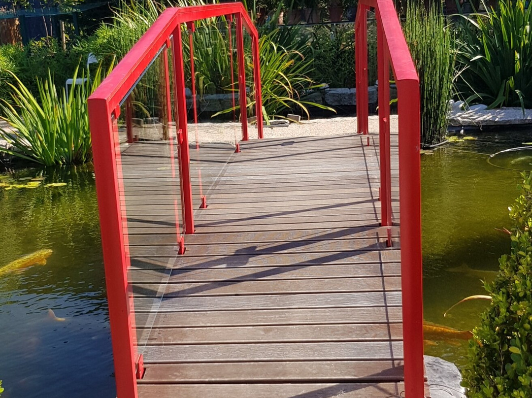 Casa das Carpas主图