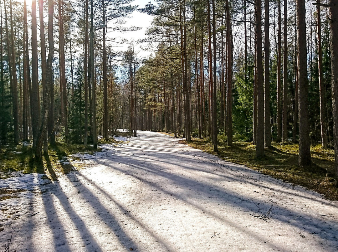 Harku Forest Nature Trail-塔林必去景点