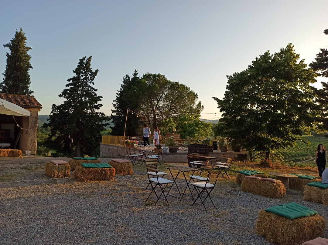 Perelli Winery景点图片