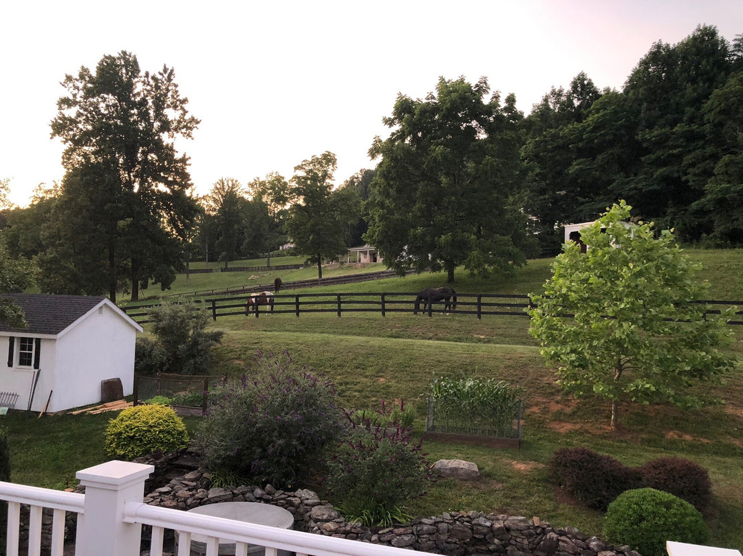 Black Dog Farm at Mount Welby主图