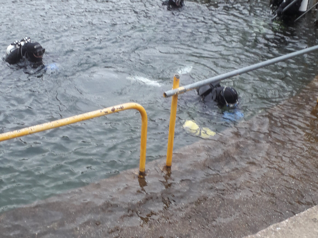 Dosthill Diving Centre-塔姆沃思必去景点