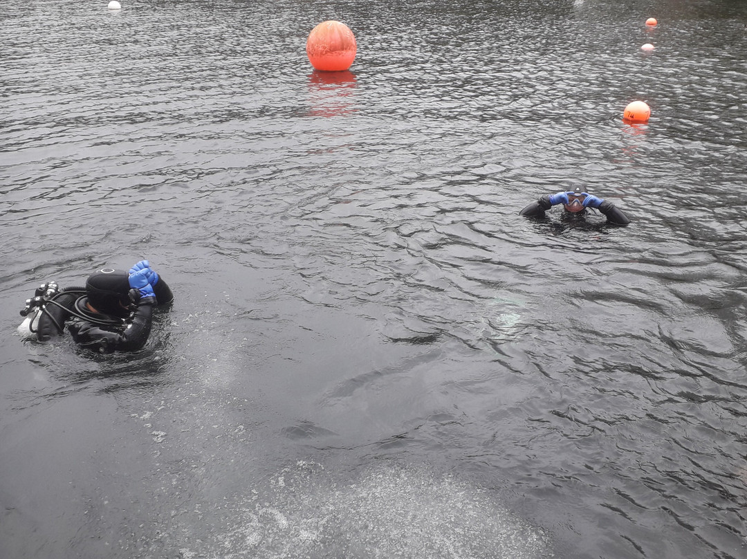Dosthill Diving Centre-塔姆沃思必去景点