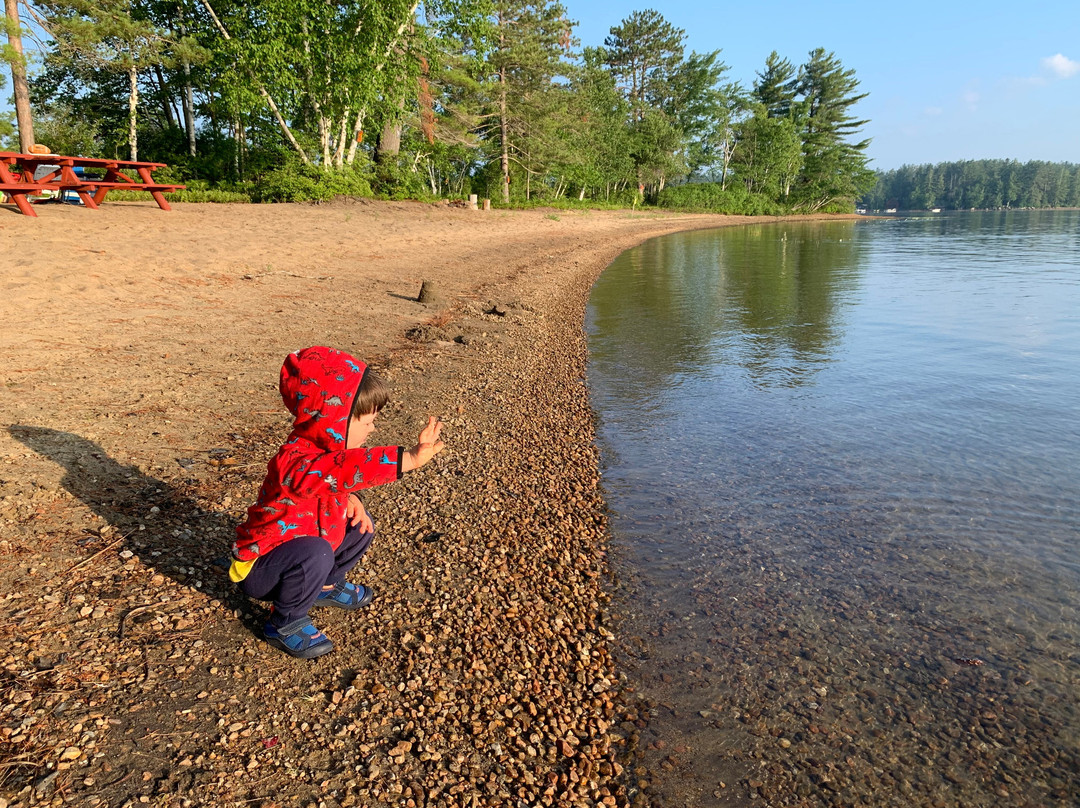 Red Pines Bed & Breakfast主图