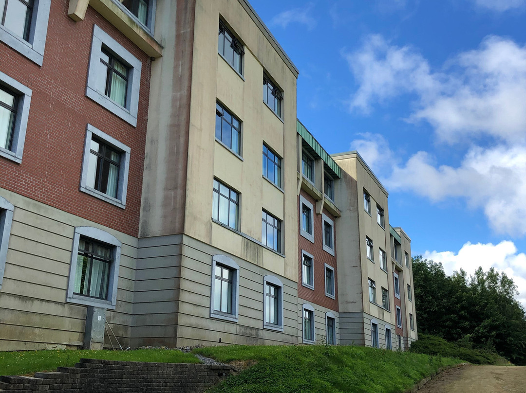 Lyrath Estate Hotel主图