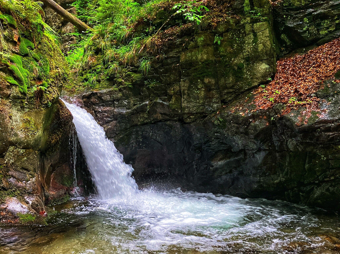 Skorosice旅游攻略图片