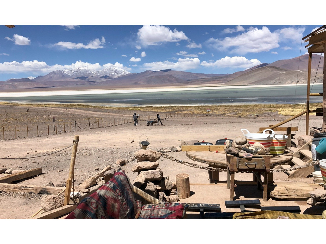 Laguna de Santa Rosa-Copiapo必去景点