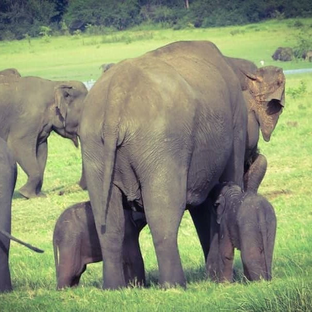 Unseenlanka Tours-加勒必去景点