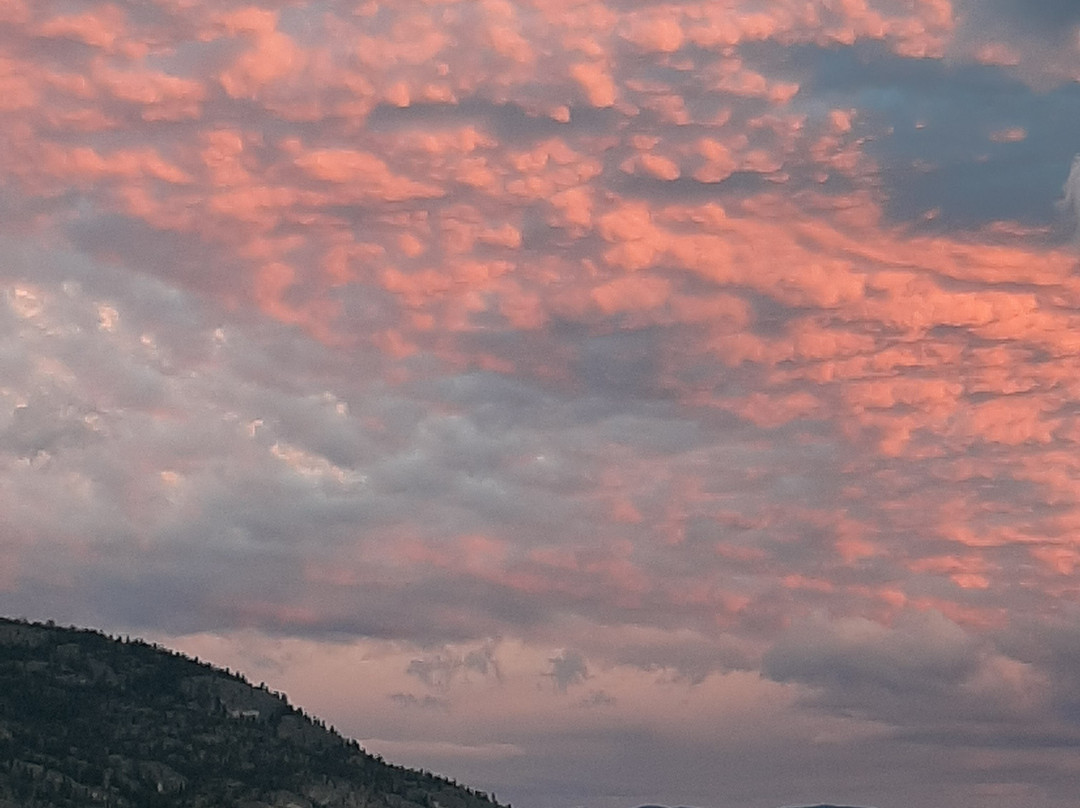 Edgewater Motel主图