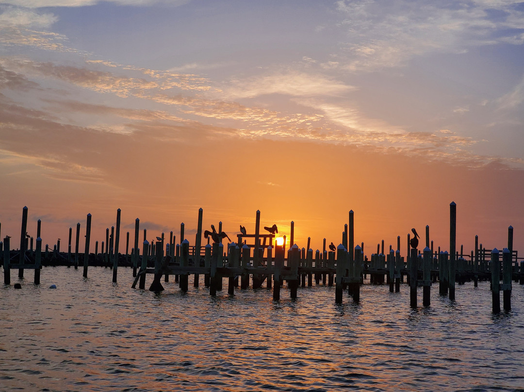 Gulf Adventures Fishing-格尔夫海岸必去景点