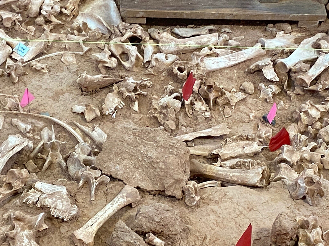 Vore Buffalo Jump-Beulah必去景点